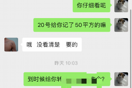 黄梅黄梅的要账公司在催收过程中的策略和技巧有哪些？