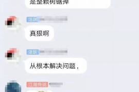 黄梅为什么选择专业追讨公司来处理您的债务纠纷？